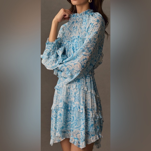 Anthropologie Light Blue & White Sheer Floral Ruffle Mini Dress - Picture 5 of 9